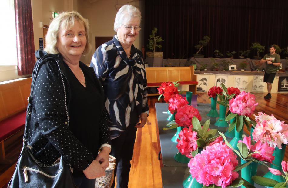 Judy Dickson, of Waikaka, and Val Tytler, of Gore, admire the rhododendron blooms on display....