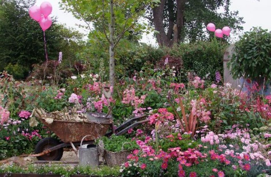 Pink was the predominant colour in Sally Brown's garden, ''Passion''.
