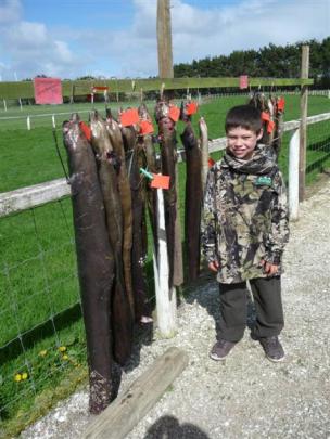 A competitor with his eels during the Chathams annual hunting contest.