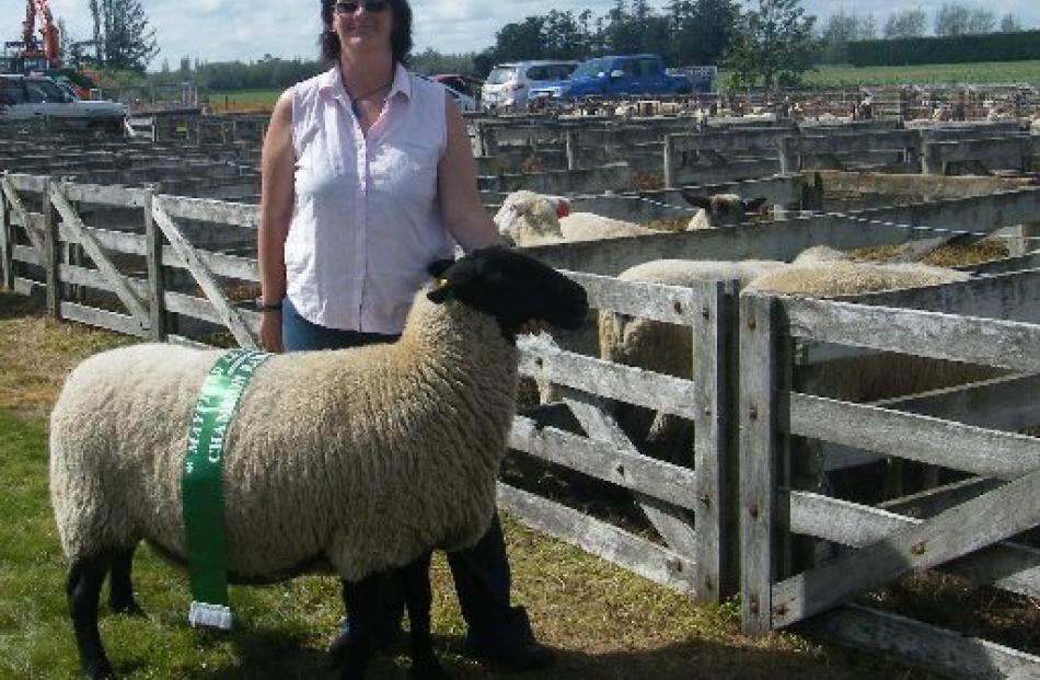 Penni Loffhagen, of Hawarden, had a successful day at the Mayfield Show with her Suffolk ewe...