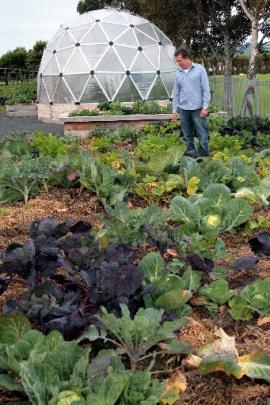 Growsouth manager Graham Copson checks the progress of one of the vegetable patches he helped...