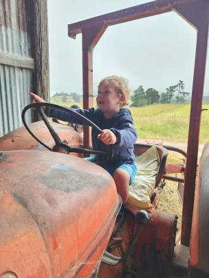 Farmer in training ... Finn McConnell, 2, on "Nuffy" the tractor at Flag Swamp on Christmas Eve....