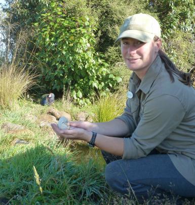 Orokonui Ecosanctuary ranger Kelly Gough with Paku's infertile egg. Paku is in the background....