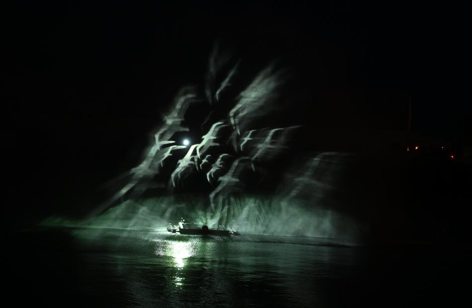 Albatrosses appear to fly across Otago Harbour in my favourite photo taken at the Matariki Mana...