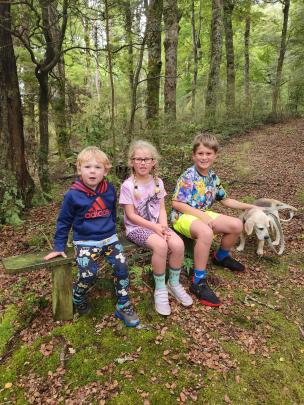 Finn McConnell, 2, Luca Baldwin, 5, and Alex McConnel, 8, take a rest on a bush walk at Piano...
