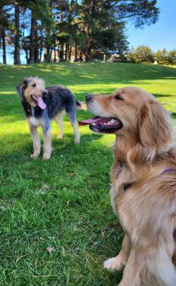 Fred and Ava hang out together at Rotary Park on December 23. PHOTO: DEB KELLY