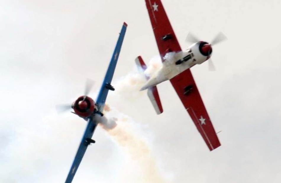 Two yaks cross.