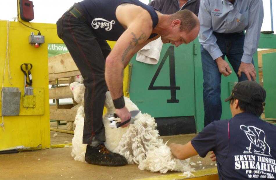 Albury shearer Mike McConnell was second in the Mackenzie 
...