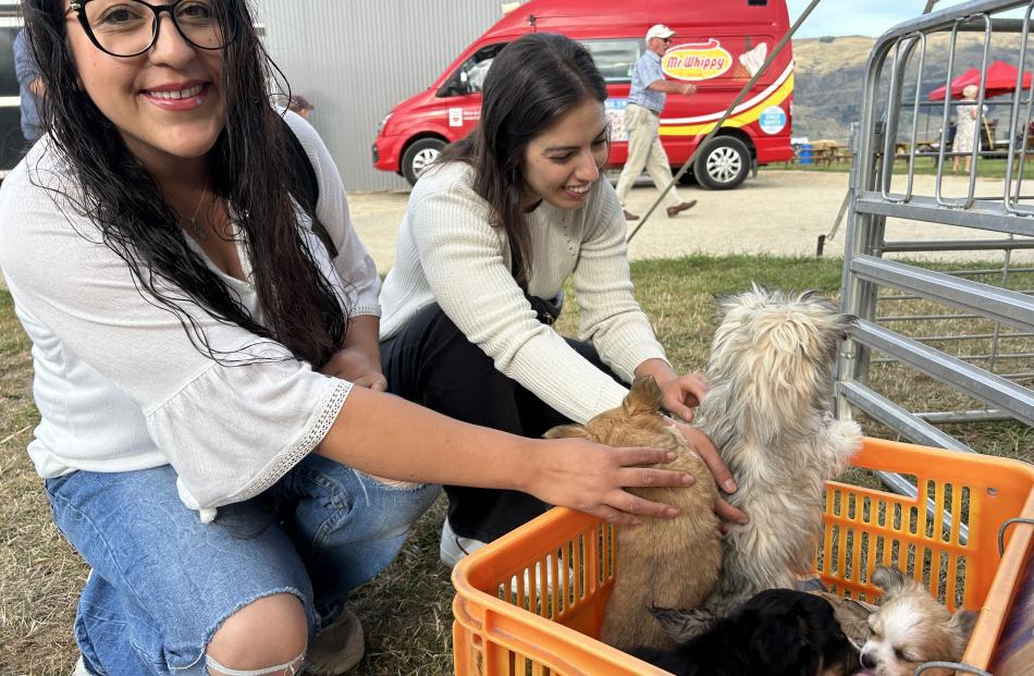 Checking out the puppies in the pet show section of the Mt Benger A&P Show are Florencia Perez...