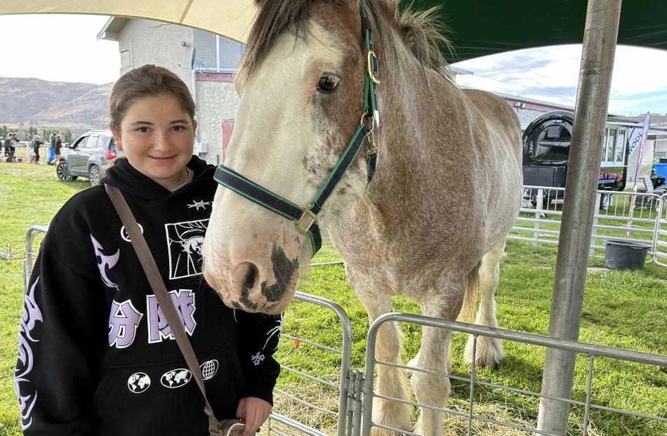 Getting up close to Buster, an 850kg strawberry roan Clydesdale, at the Mt Benger A&P Show is...