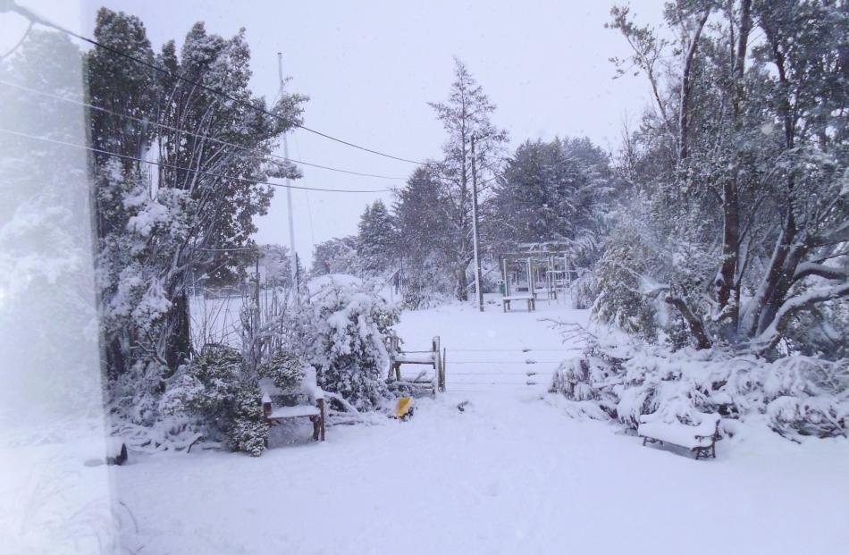 Photos of the snow we got over night at our place in Lee Stream! Photo by Corrin McInnes