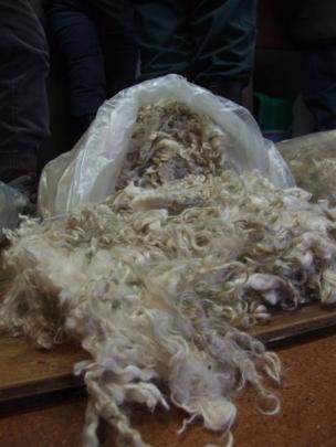 Mohair on display at the Campbells' Roxburgh farm.  Photo by Sally Rae.