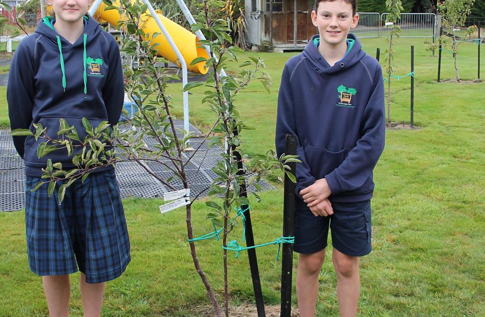 Twelve-year-old seniors Zoe Cleghorn and Tuvia Bielski stand by the apple, apricot, cherry and...