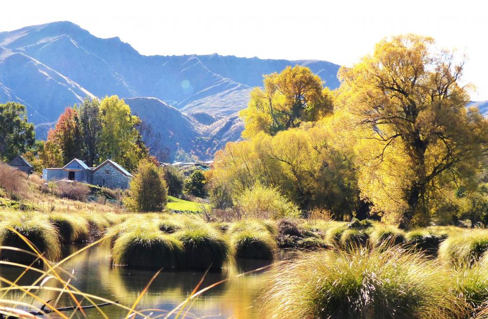 Arrowtown’s autumn colours on a bright sky day. Brow Peak is in the background. PHOTO: JIM FRASER
