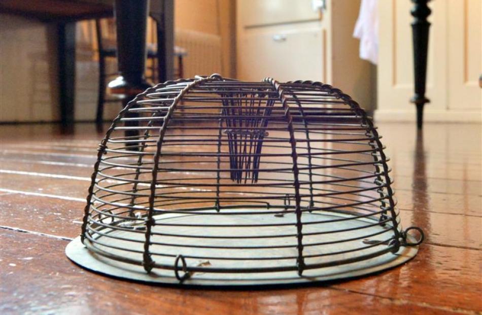 A 1900s mousetrap in the kitchen.