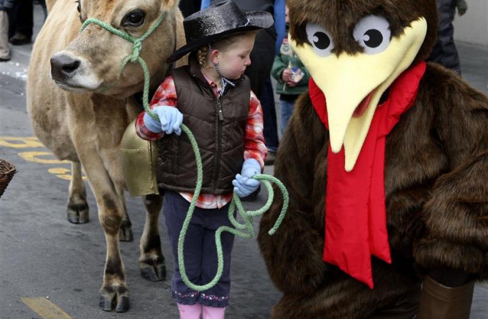 2009: Millie Lewis (3) meets a kiwi as she leads her pet cow Google in the  festival parade in...
