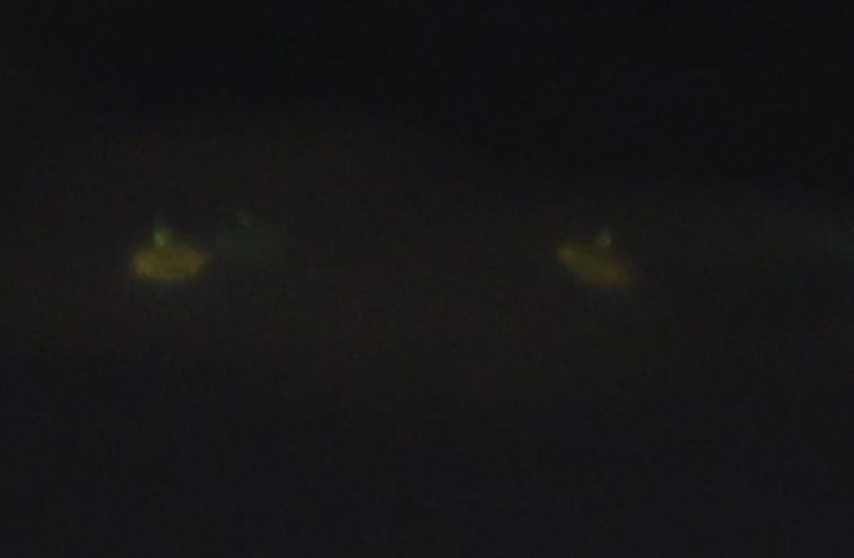 A closer view of the mystery objects. Supplied photo