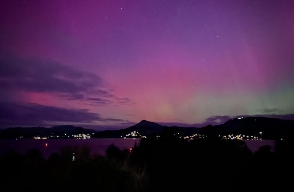 A view from Roseneath across the Otago Harbour to Hereweka/Harbour Cone. Photo: Ulf Uchida