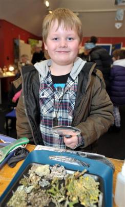 Max Johnston (6), of Invercargill, uses a magnifying glass to look at fungus.