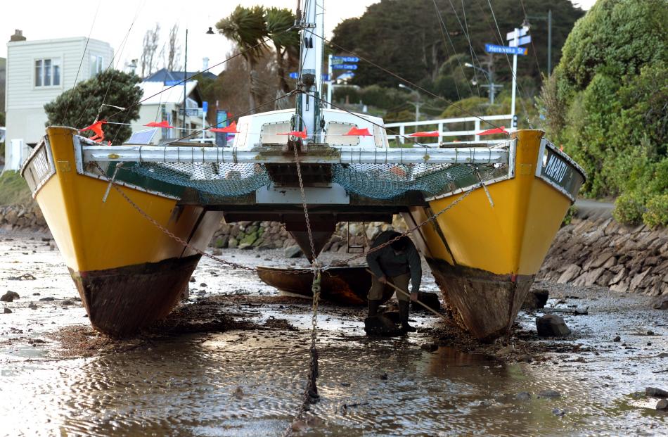 Ian Blair scrapes the bottom of his yacht Mapatu, which washed ashore at Latham Bay, Portobello,...