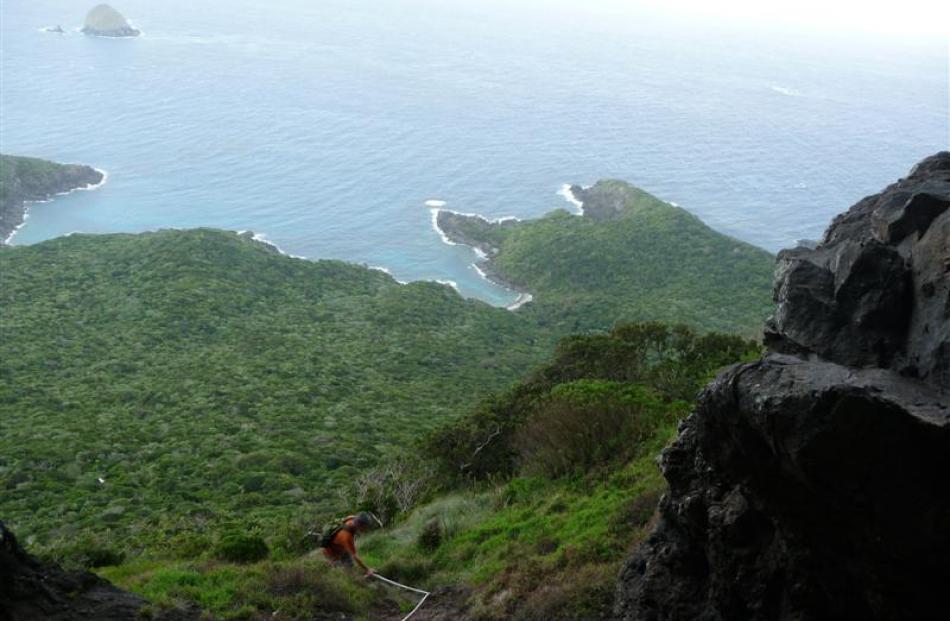 Ropes aid in the ascent of Mt Lidgard.