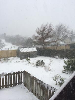 Snow coats a backyard in Halfway Bush. Reader photo by Akmal Barikzai