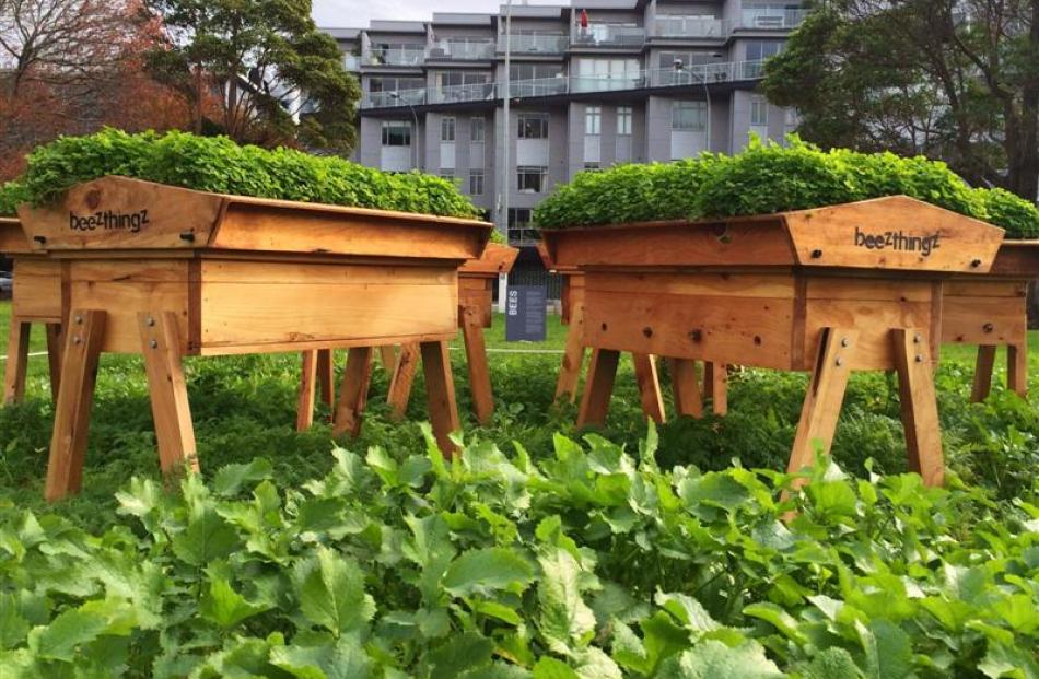 Taarati Taiaroa's public sculpture, The Park, includes bee hives placed in a public park and...