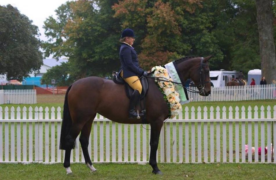 Rebecca Rowlands and Southwell Rendevouz (aka Mouse) after winning supreme saddle hunter of the...