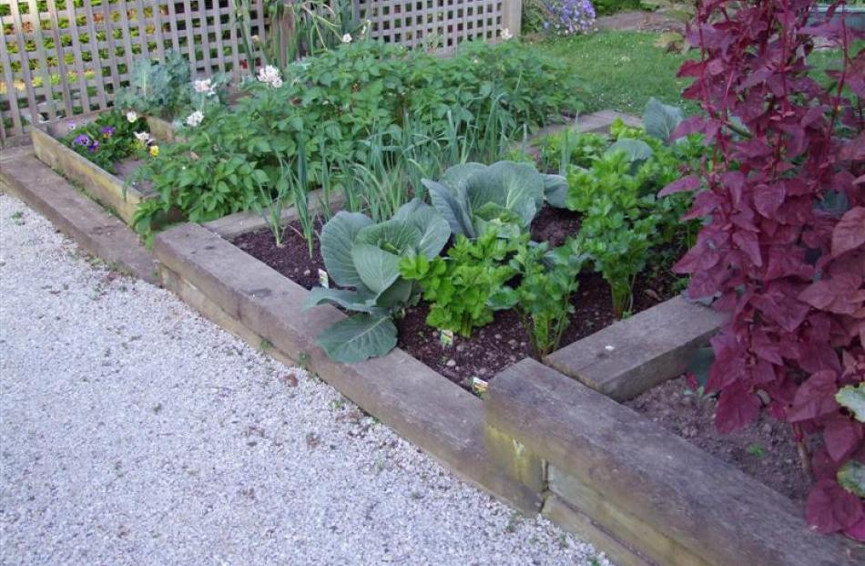 On a sloping section, raised beds can be stepped.