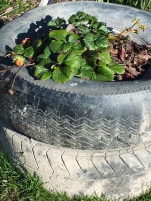 Tyres may leach chemicals into the soil.