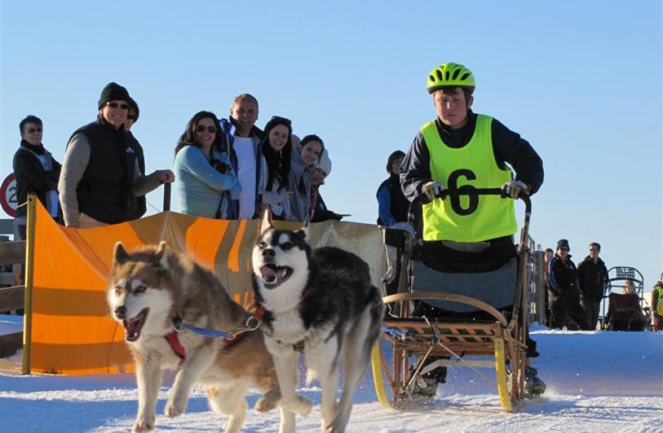 Jake Faulkner (10), of Christchurch, and two of his family's ''Black Paw'' team compete in the...