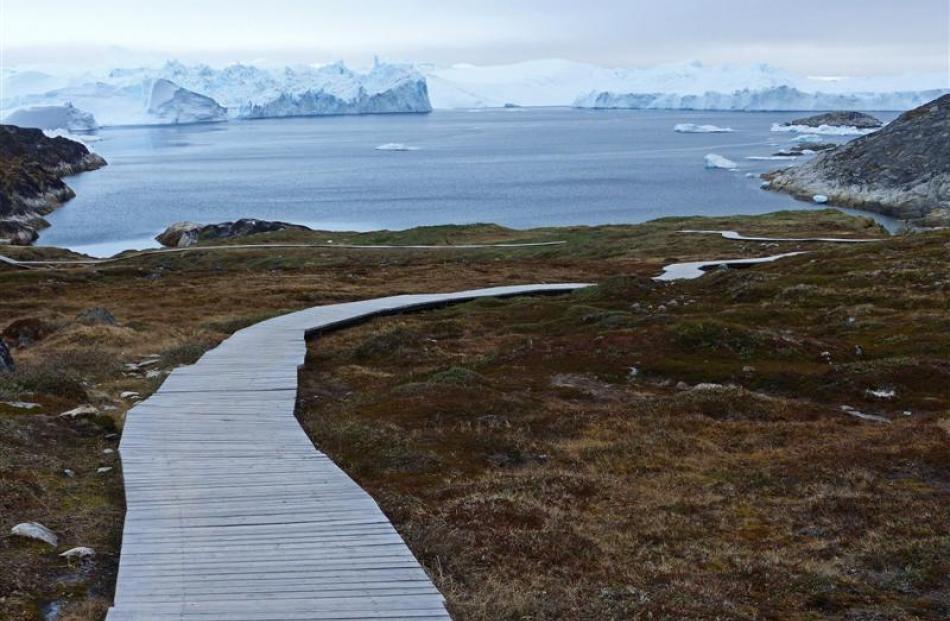 A boardwalk protecting slow-growing Arctic flora in the Ilulissat fiord.