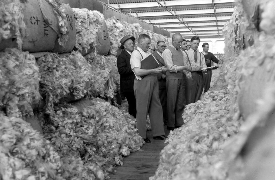 October 27, 1953. Original caption reads> Wool buyers inspecting a clip from a sheep station in...