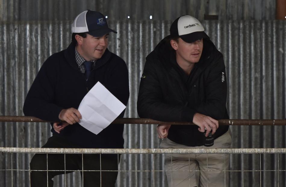Jed Cuthbertson, of Cromwell, left, and Dylan Forde, from Ashburton, eye some of the stock for...