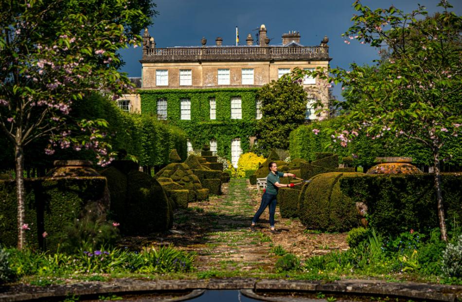 A gardener (above right) prepares the Highgrove gardens for Topiary Day on May 12 this year. The...