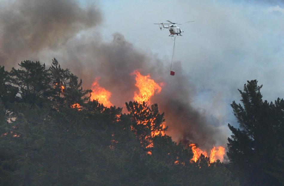 A helicopter works to put out a blaze near Outram this morning. Photo by Stephen Jaquiery.