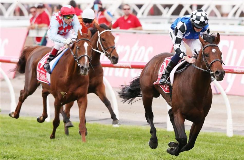Who Shot Thebarman, ridden by Glen Boss in orange silks (centre), runs third behind Melbourne Cup...