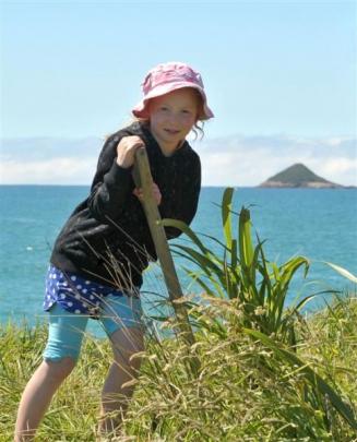 Bridgette Sutton (8) plants a flax.