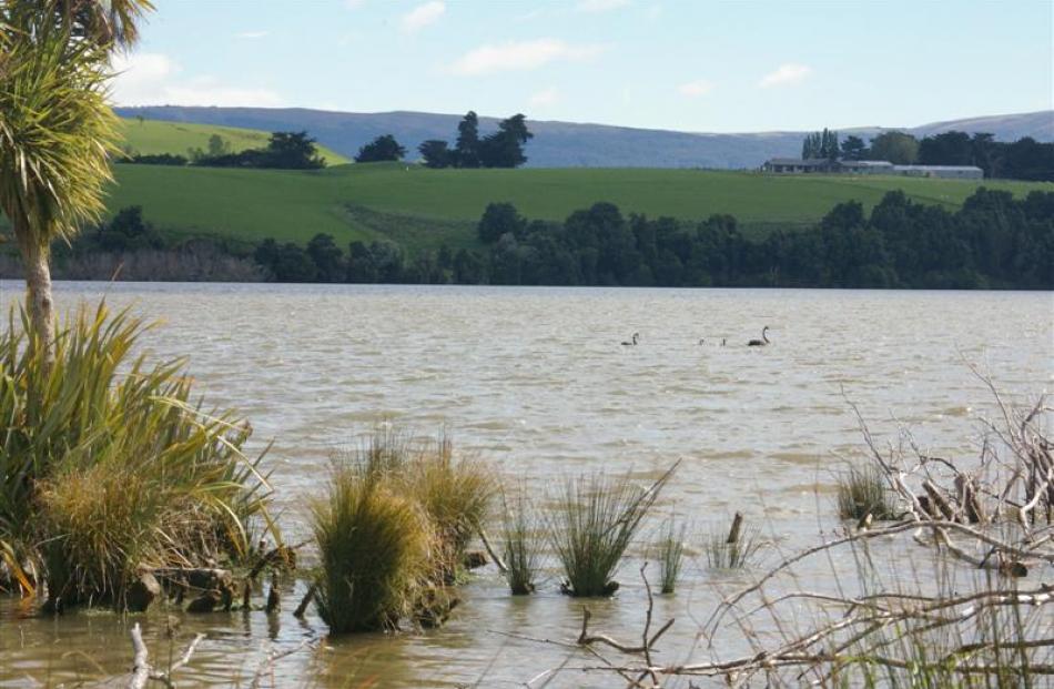 Lake Waihola is a shallow, tidal lake that makes it susceptible to reduced water flow and...