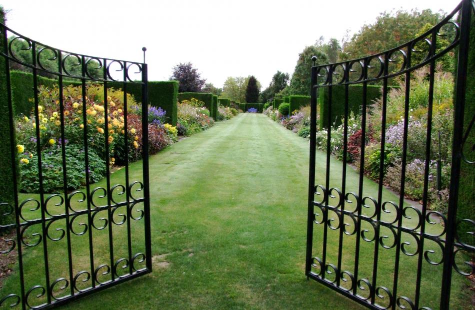 Alan Trott’s garden at Ashburton is impressive. PHOTO: GILLIAN VINE

