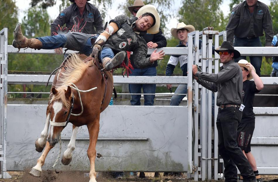Ashburton’s Johny Tumai draws a lively ride in the second division bareback competition