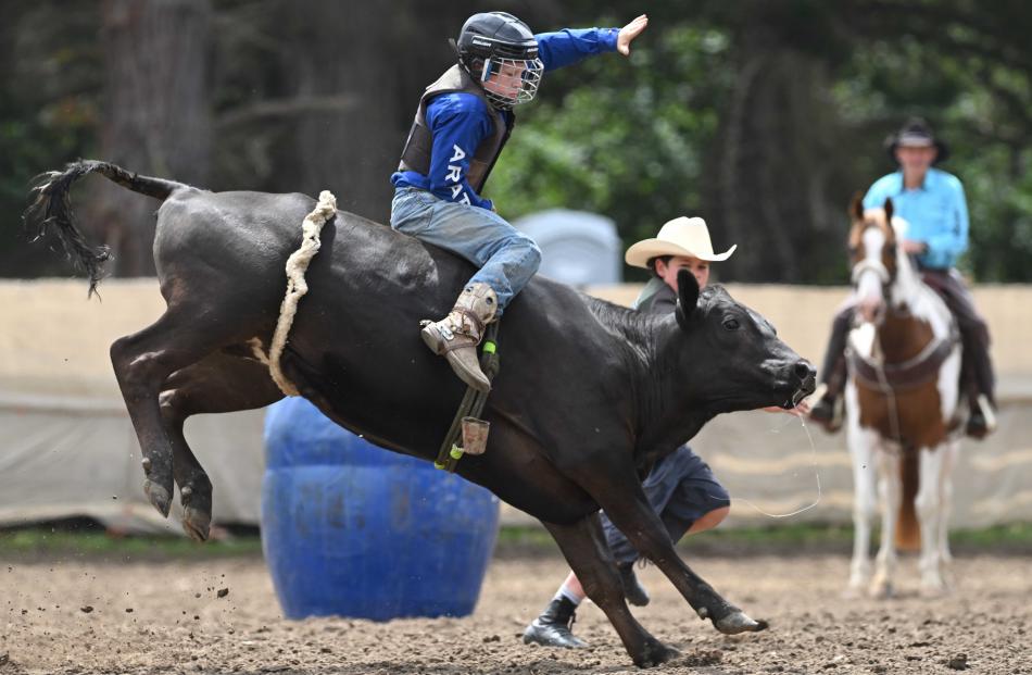 Clayton Perkins, of Gore, competes in the novice steer-riding event.