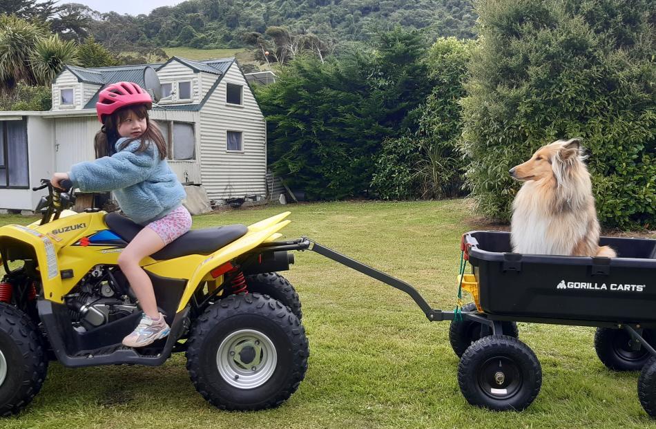 Pre-departure check ... Skyla Bignell, 7, and dog Beau at Long Beach on New Year’s Eve. PHOTO:...