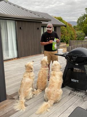 Patience ... Retrievers Cooper, Winnie and Lucy hope their nice manners will earn a treat from...