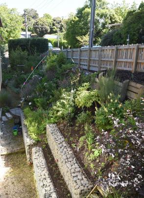 The garden has only been in for three years but is "growing well".
