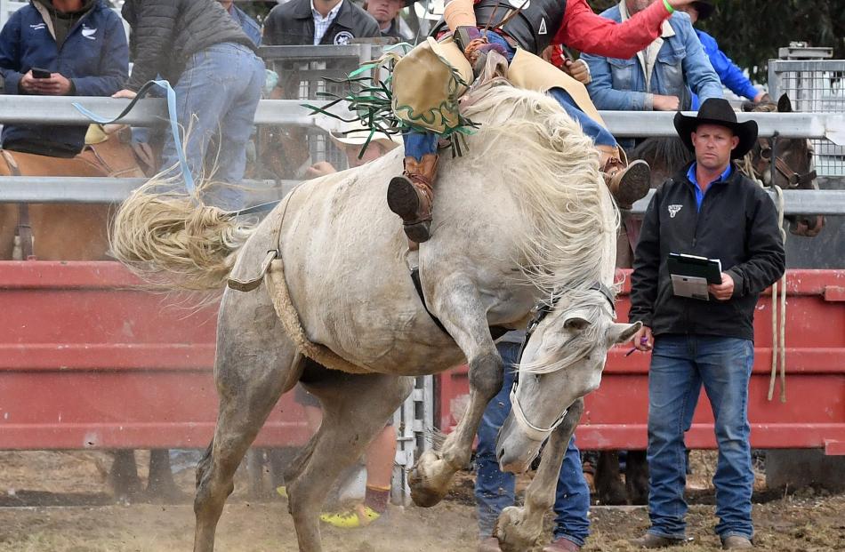 Competing in a bareback event is Cody Waaka, of Greta Valley.