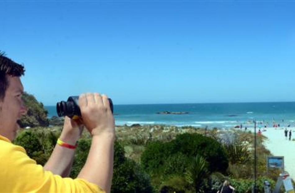 Ossian Woods (17)  scans Brighton Beach yesterday.