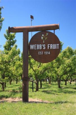 A sign marks the orchard, next to State Highway 6.