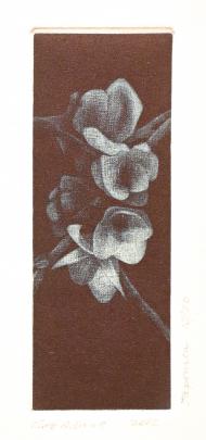 Japonica, Chris Adams’ favourite work. Images: supplied