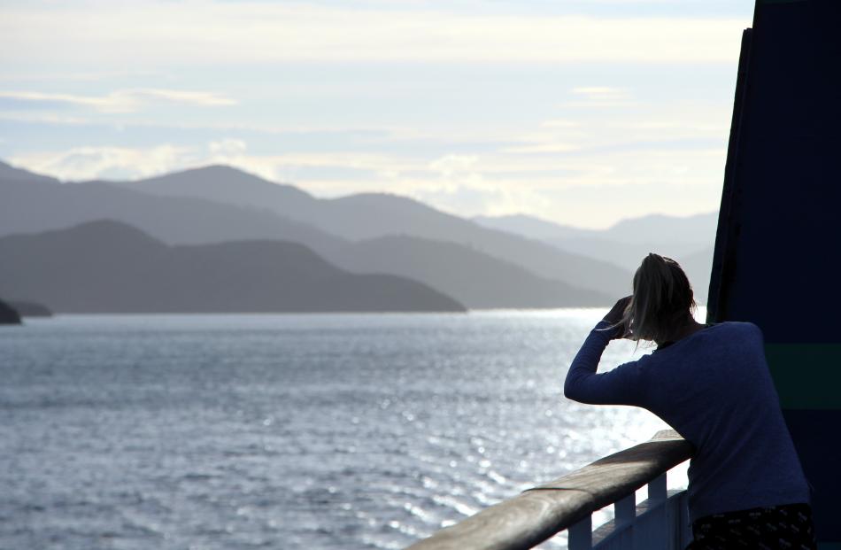 A ferry passenger takes a late afternoon snapshot of the Marlborough Sounds.